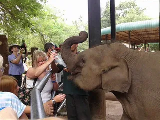 Udawalawa Elephant Transit Home