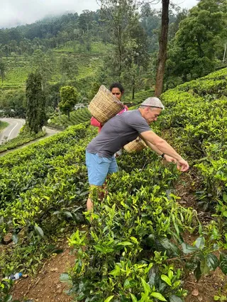 Glenloch Tea Factory Visit