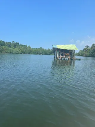 Madu River Safari