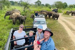 Minneriya National Park Safari