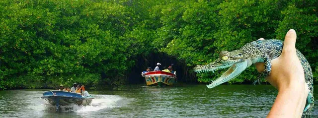 Unforgettable Sri Lanka Tour Packages