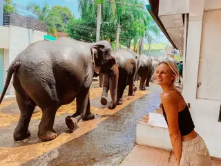 Pinnawala Elephant Orphanage