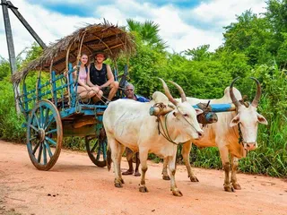 Hiriwadunna Village Tour