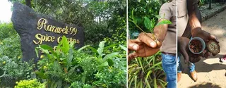 Matale Spice Garden