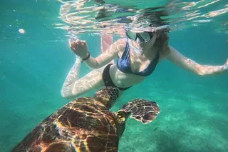 Mirissa Turtle Snorkeling Adventure