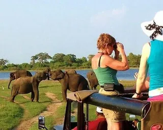 Yala National Park Safari