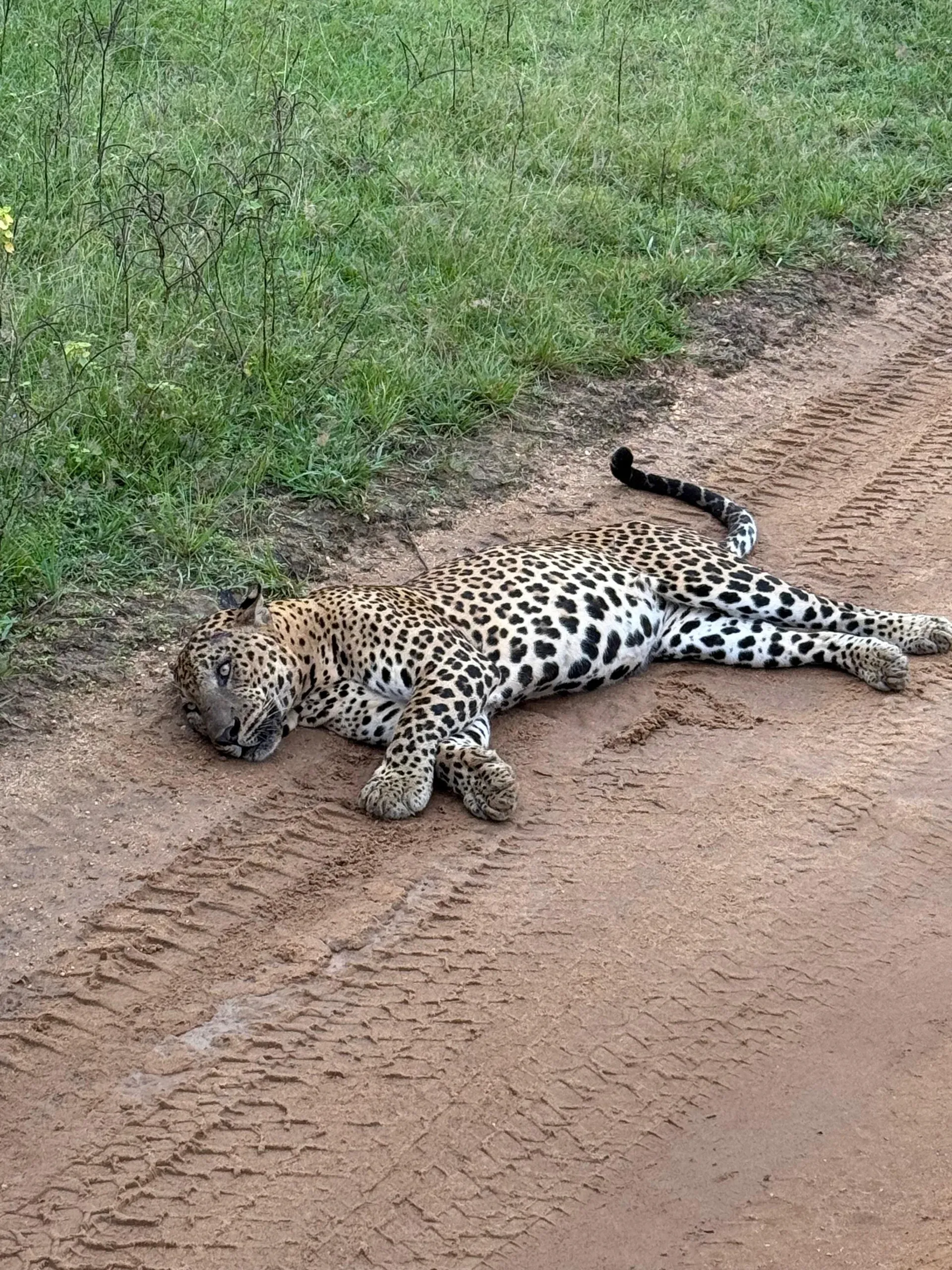 Sri Lanka tour photo