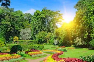 Royal Botanical Garden