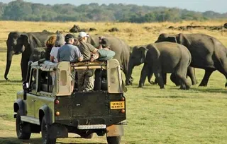Yala National Park