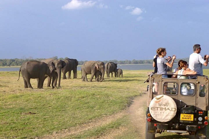 Sri Lanka Tour Packages with Chauffeur Guide