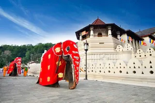 Kandy day tour with Temple of the Tooth
